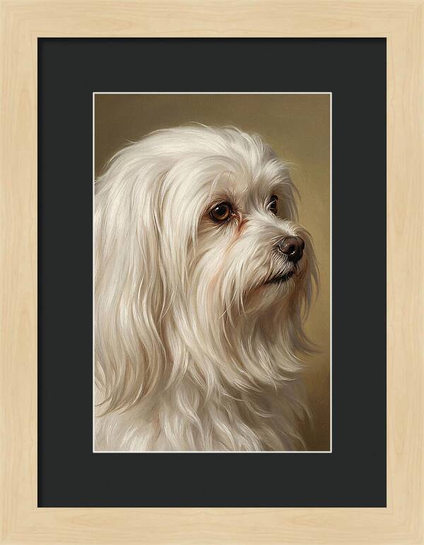 Maltese Dog Portrait