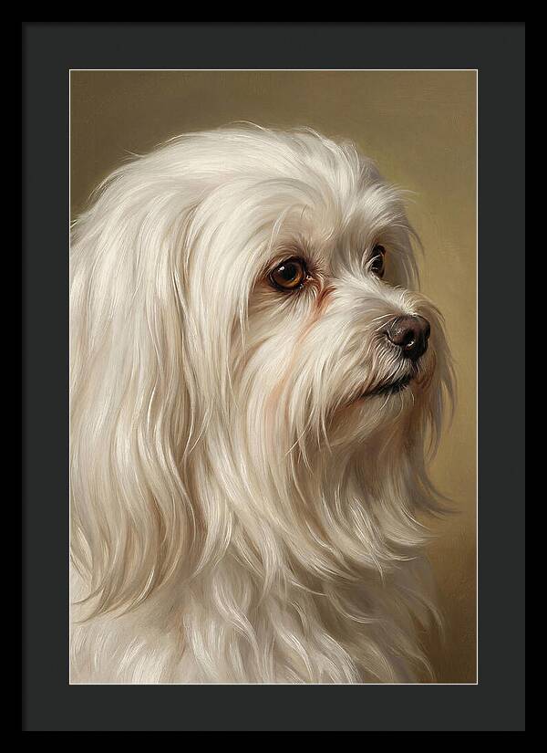 Maltese Dog Portrait