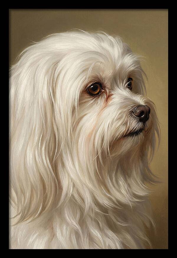 Maltese Dog Portrait