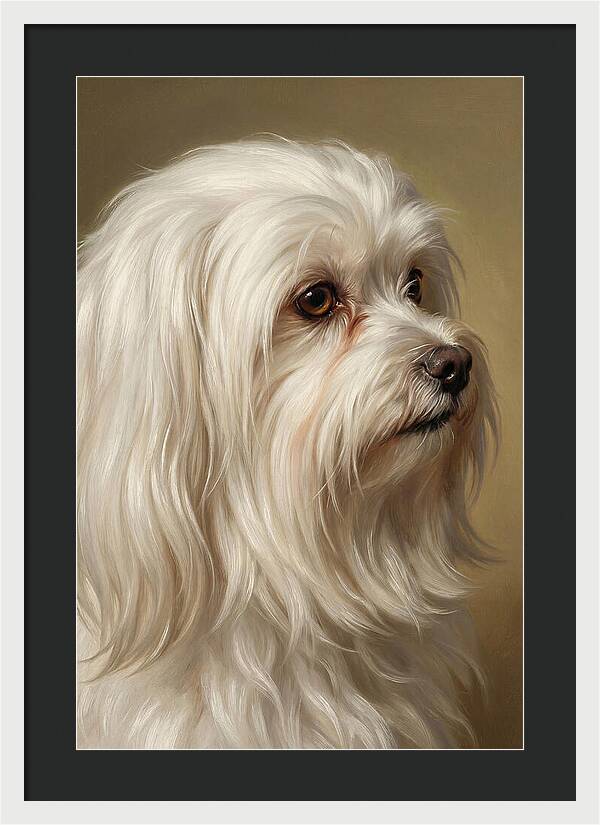 Maltese Dog Portrait
