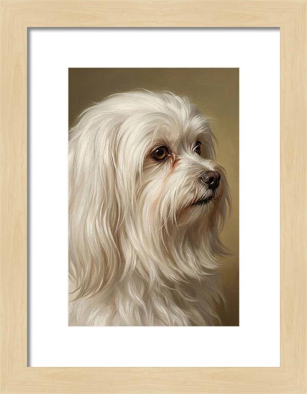 Maltese Dog Portrait