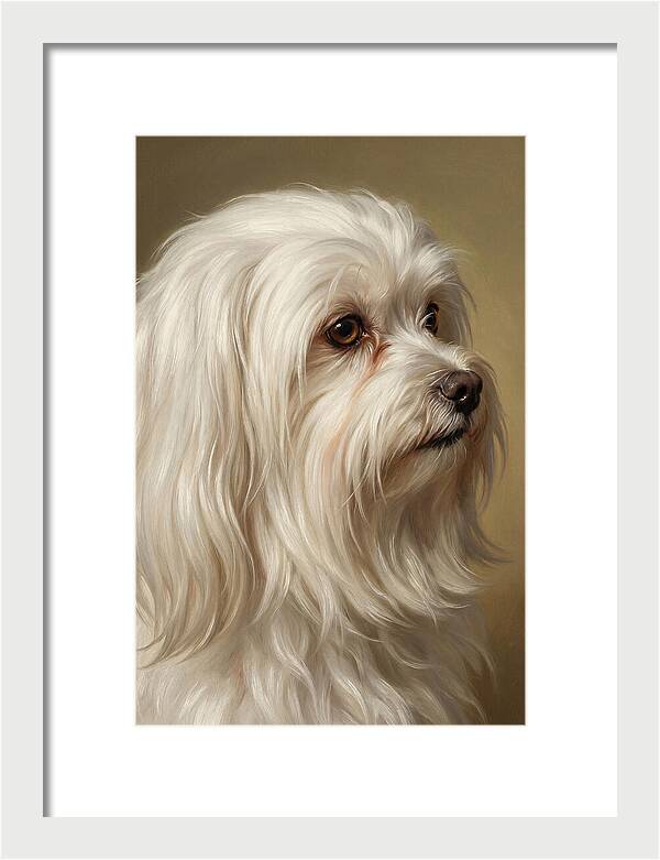 Maltese Dog Portrait