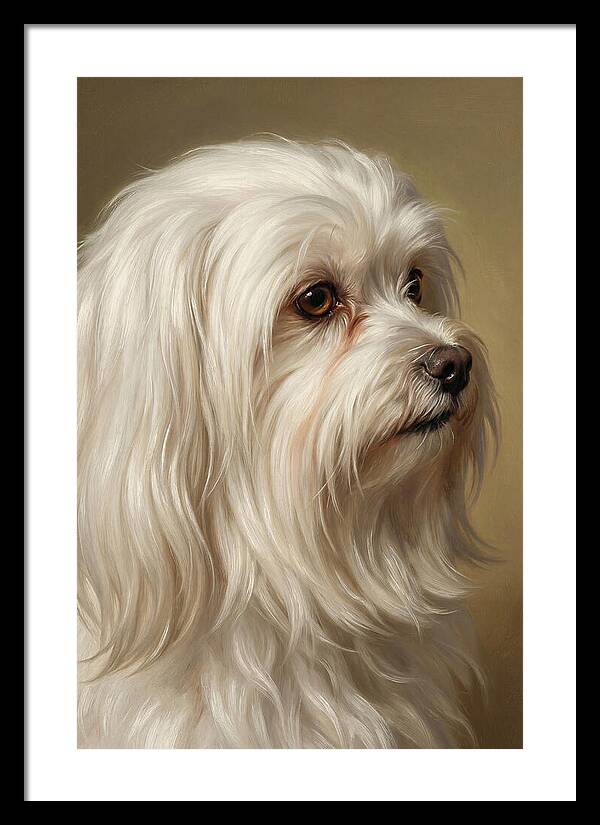 Maltese Dog Portrait