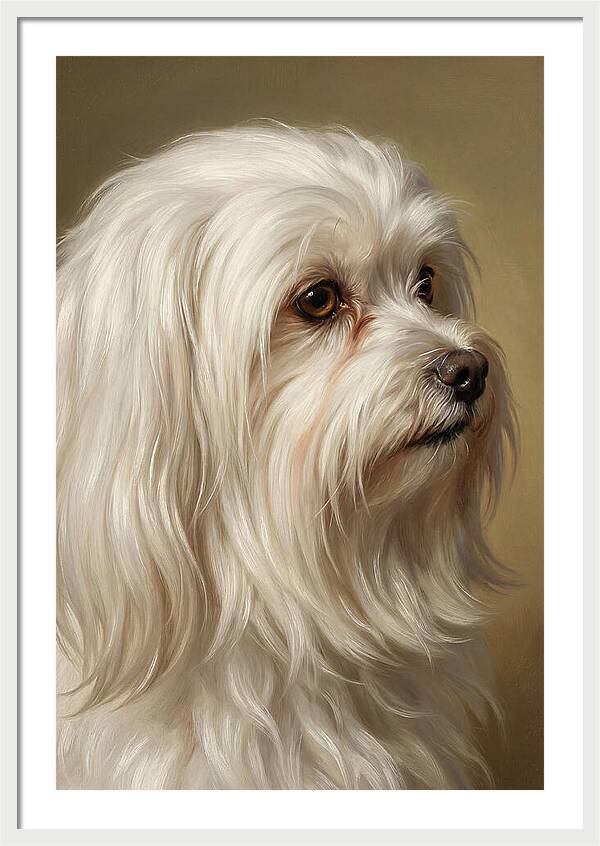 Maltese Dog Portrait