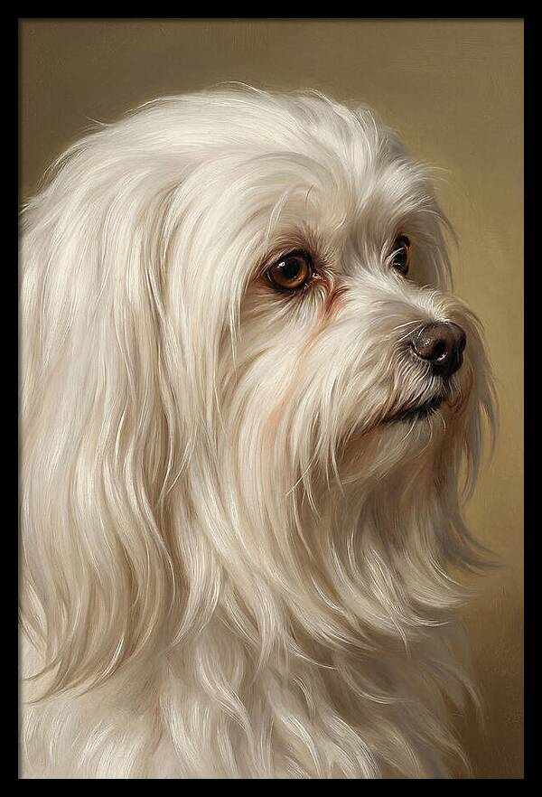 Maltese Dog Portrait