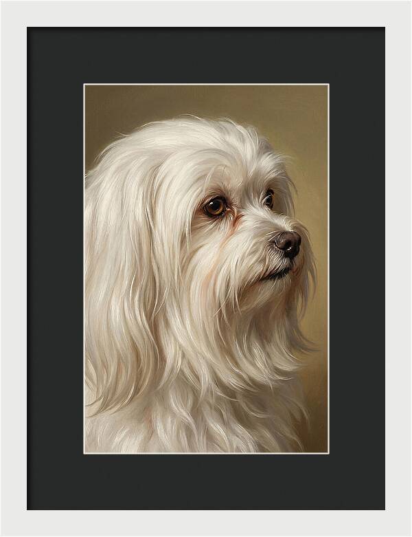 Maltese Dog Portrait