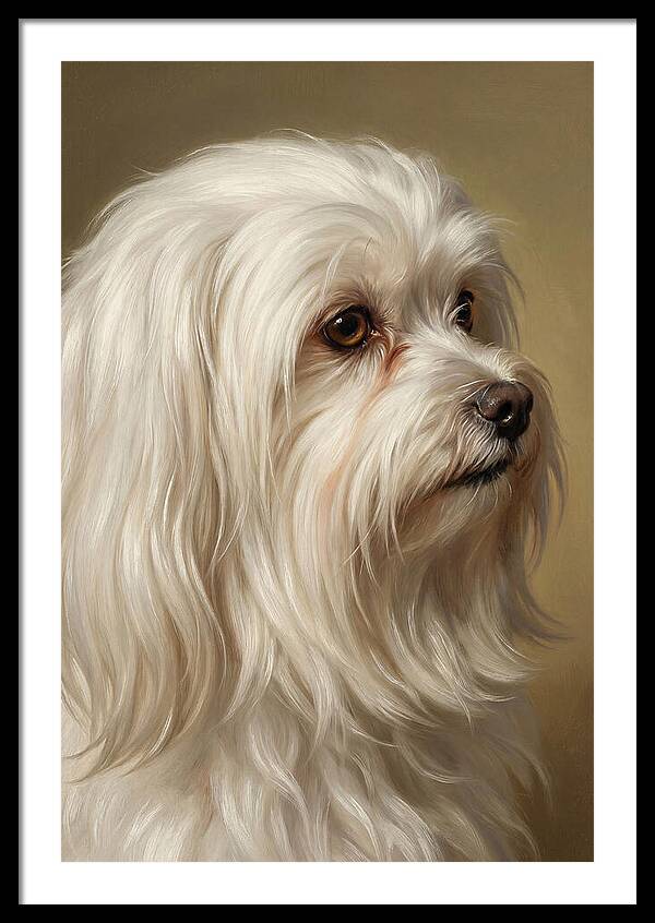 Maltese Dog Portrait