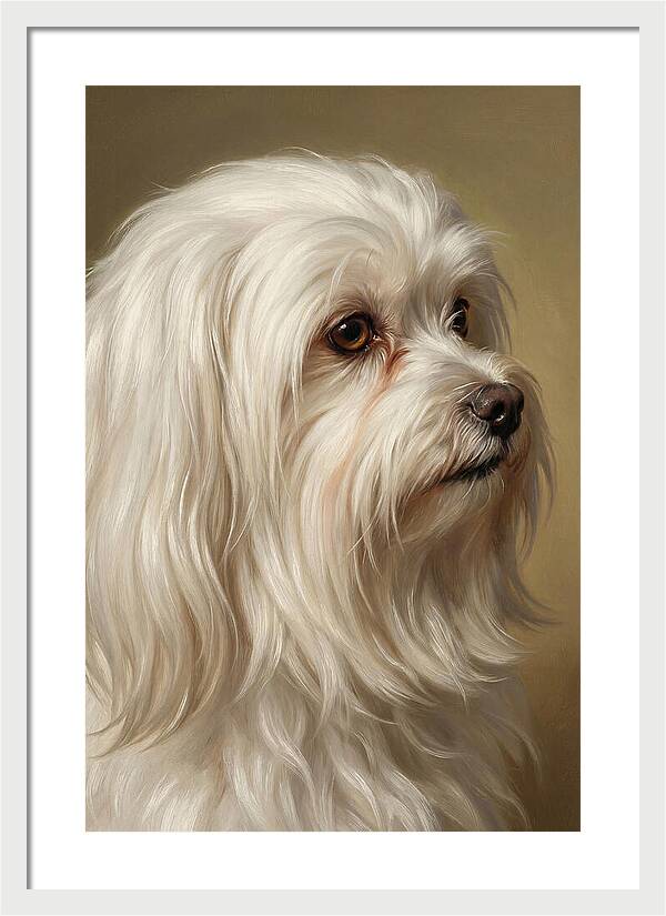 Maltese Dog Portrait