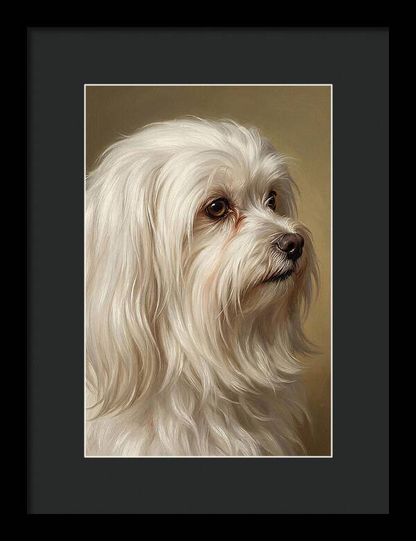 Maltese Dog Portrait