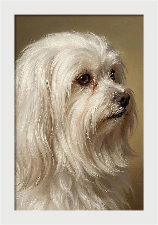 Maltese Dog Portrait