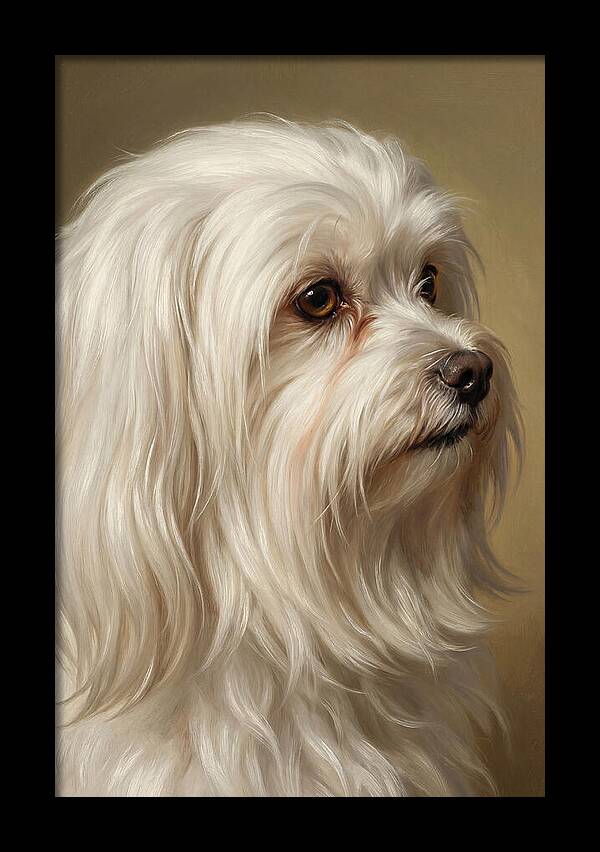 Maltese Dog Portrait