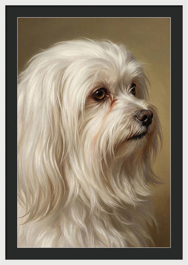 Maltese Dog Portrait