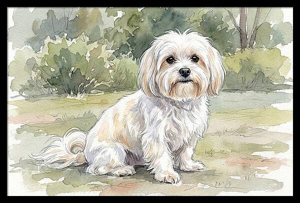 Maltese In Nature