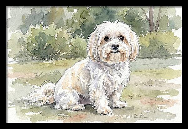Maltese In Nature