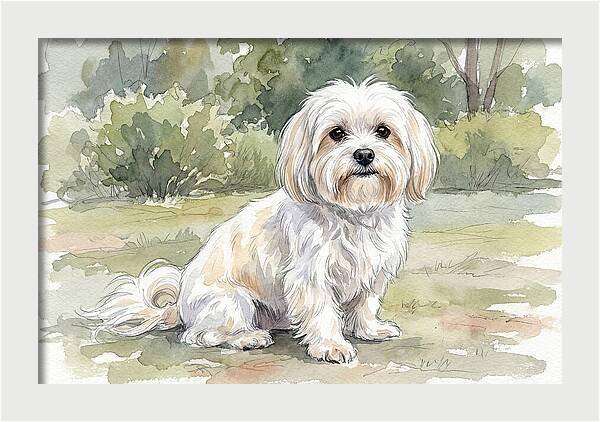 Maltese In Nature