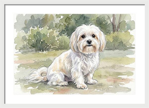 Maltese In Nature