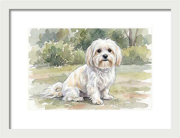 Maltese In Nature