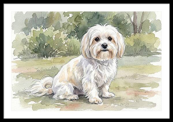Maltese In Nature