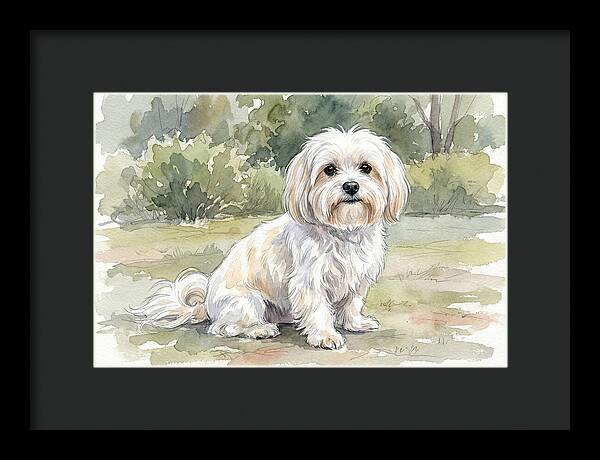 Maltese In Nature