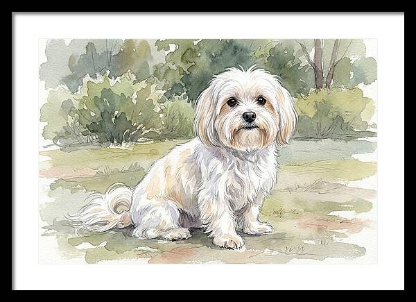 Maltese In Nature