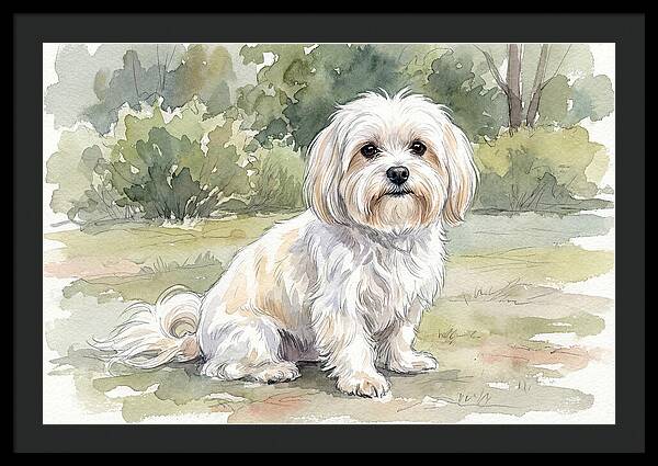 Maltese In Nature