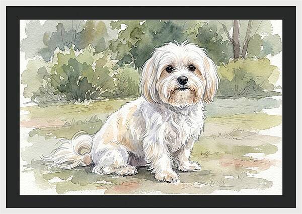 Maltese In Nature