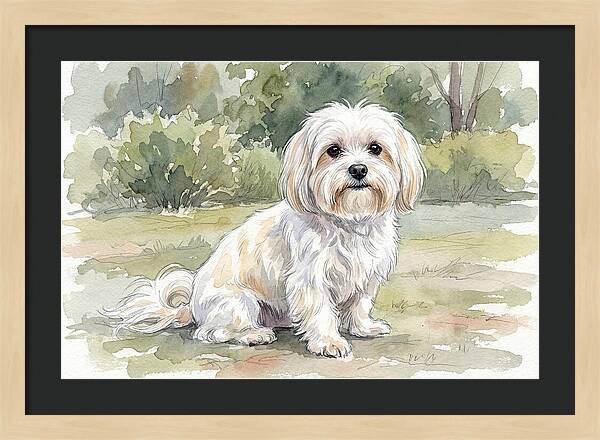 Maltese In Nature