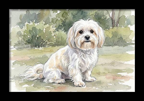 Maltese In Nature