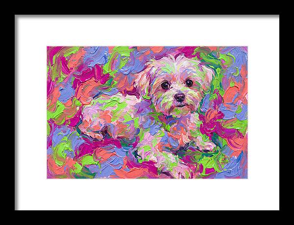 Maltese In Vibrant Colors