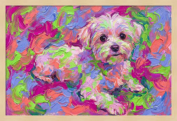 Maltese In Vibrant Colors