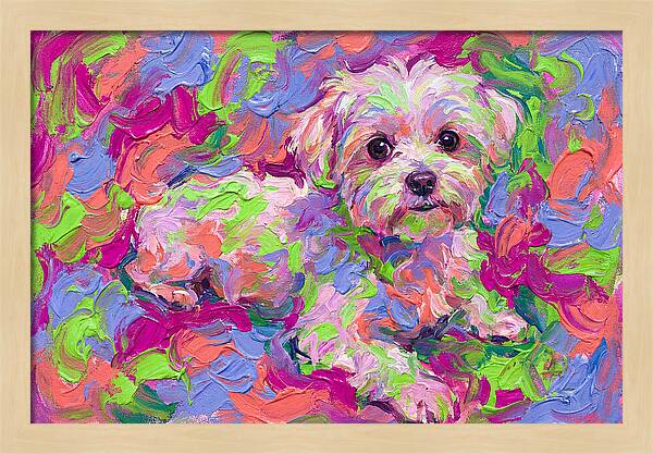 Maltese In Vibrant Colors