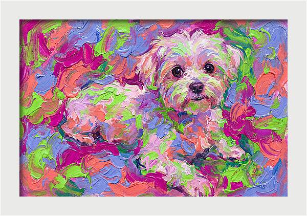 Maltese In Vibrant Colors