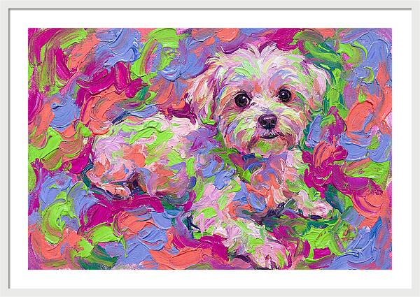 Maltese In Vibrant Colors