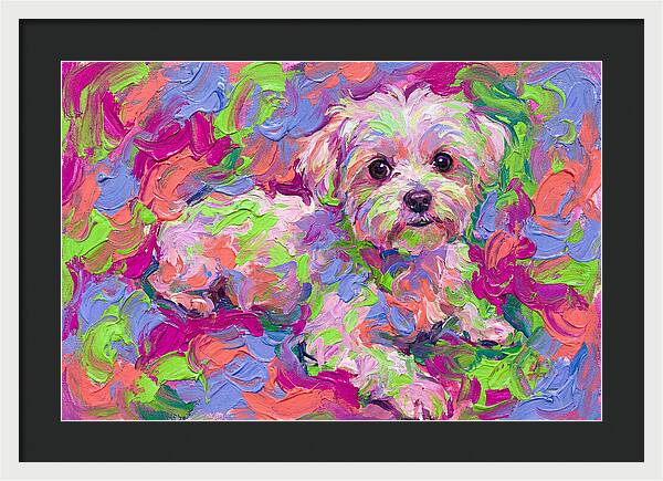 Maltese In Vibrant Colors