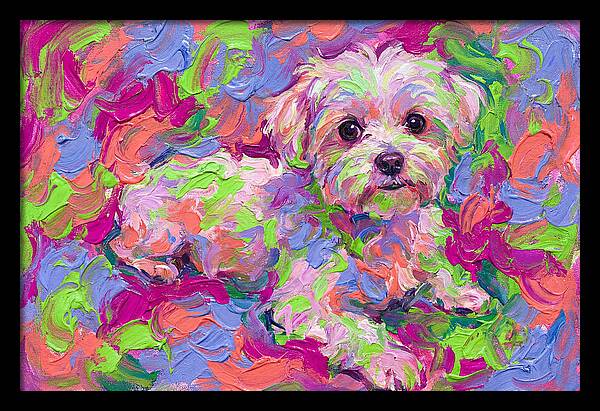 Maltese In Vibrant Colors