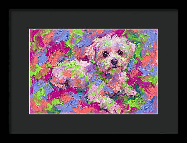 Maltese In Vibrant Colors