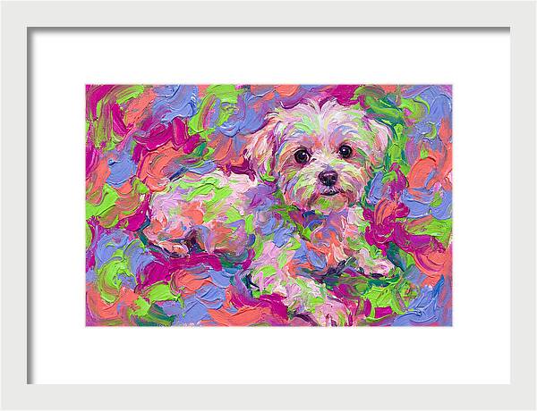 Maltese In Vibrant Colors