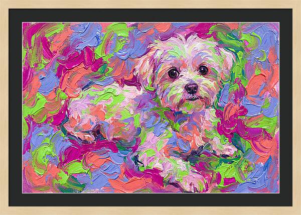 Maltese In Vibrant Colors