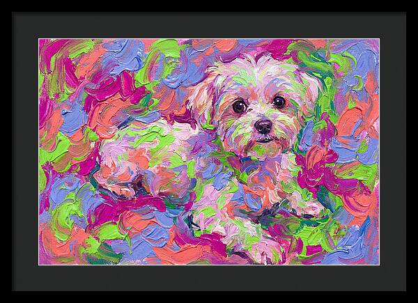 Maltese In Vibrant Colors