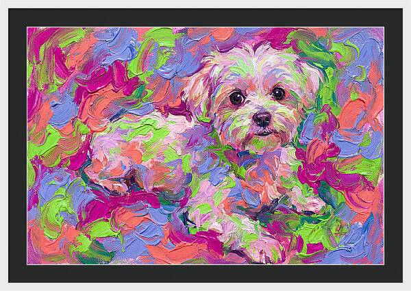 Maltese In Vibrant Colors