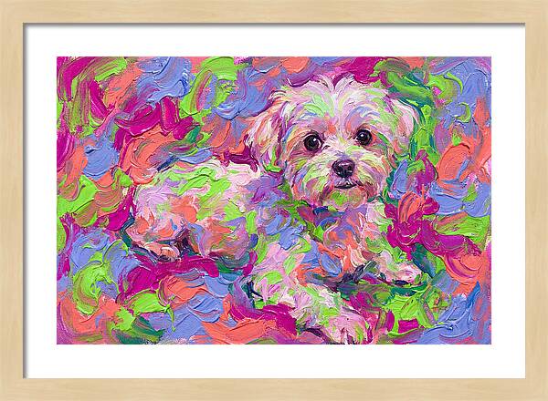 Maltese In Vibrant Colors