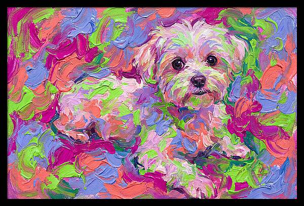 Maltese In Vibrant Colors