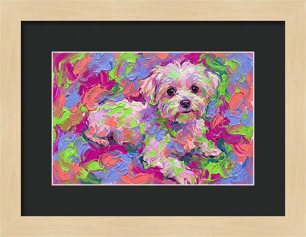 Maltese In Vibrant Colors