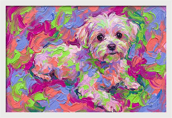 Maltese In Vibrant Colors