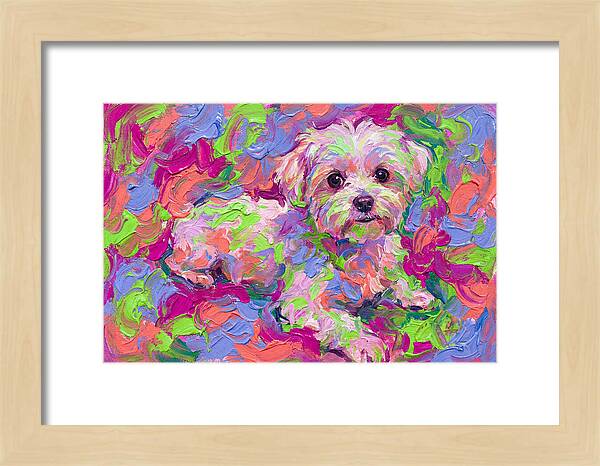 Maltese In Vibrant Colors