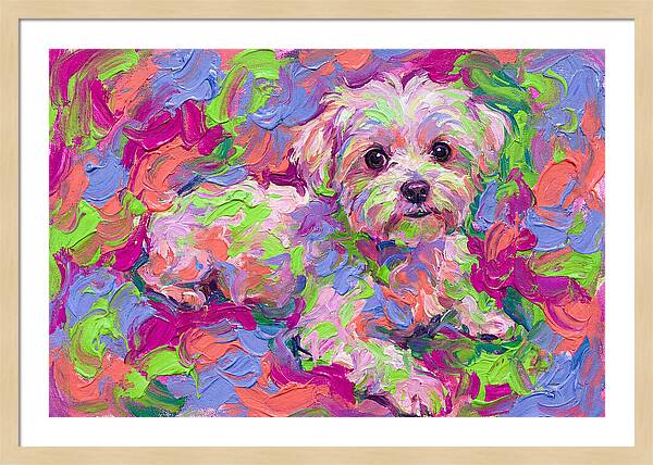 Maltese In Vibrant Colors