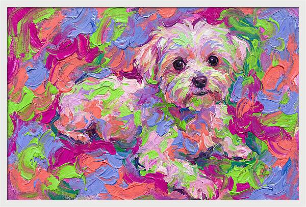 Maltese In Vibrant Colors