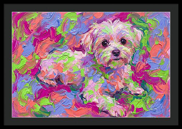 Maltese In Vibrant Colors