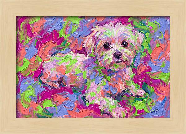 Maltese In Vibrant Colors