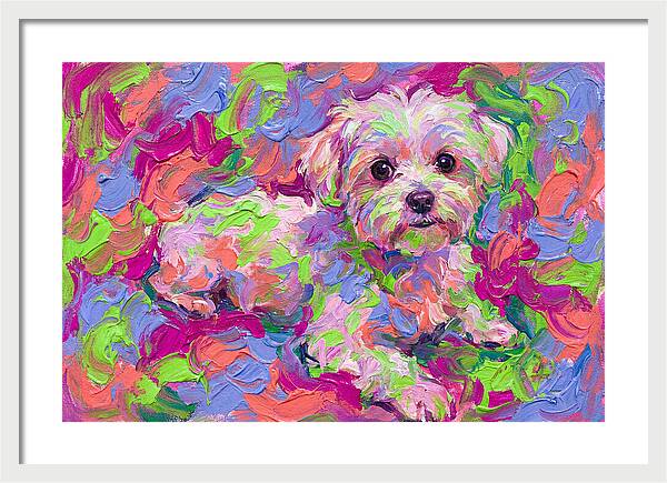 Maltese In Vibrant Colors